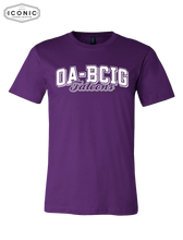 Load image into Gallery viewer, OA-BCIG Falcons School - Unisex Jersey Tee
