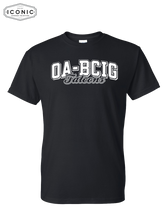 Load image into Gallery viewer, OA-BCIG Falcons School - DryBlend T-shirt
