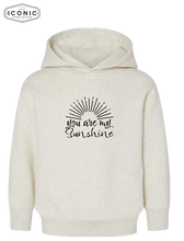 Load image into Gallery viewer, You Are My Sunshine - Toddler Pullover Fleece Hoodie

