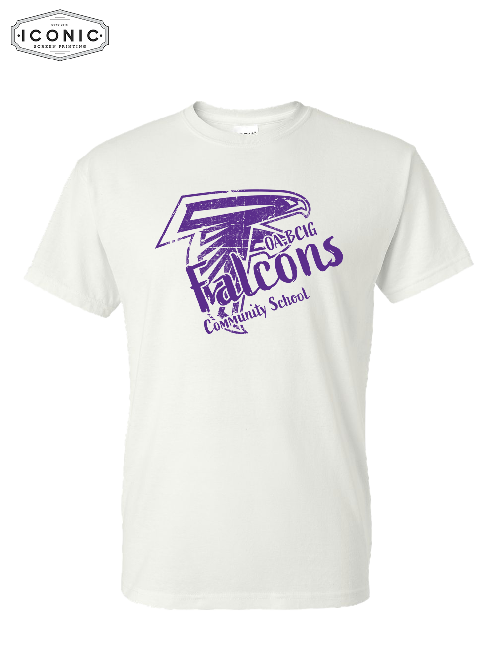 Falcon Community School - Dryblend T-shirt