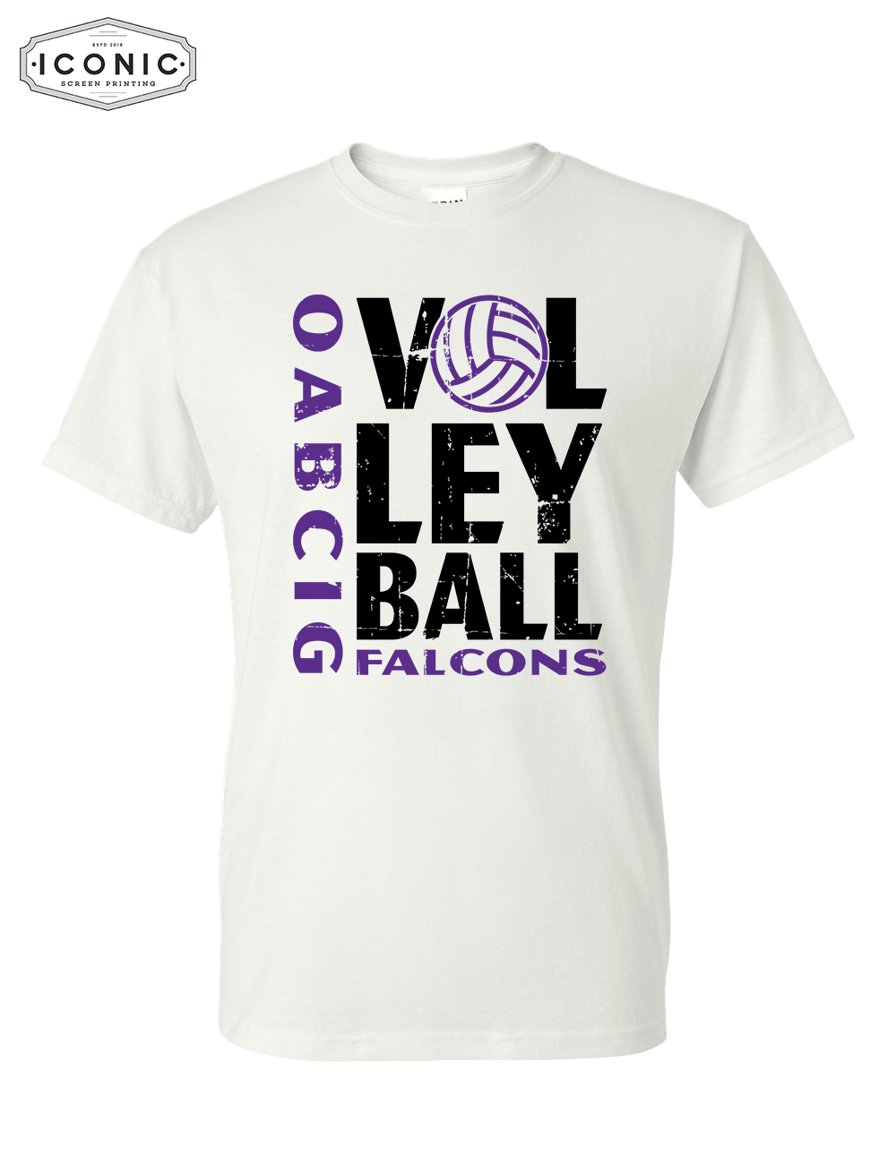 OA-BCIG Falcons Volleyball - DryBlend T-shirt