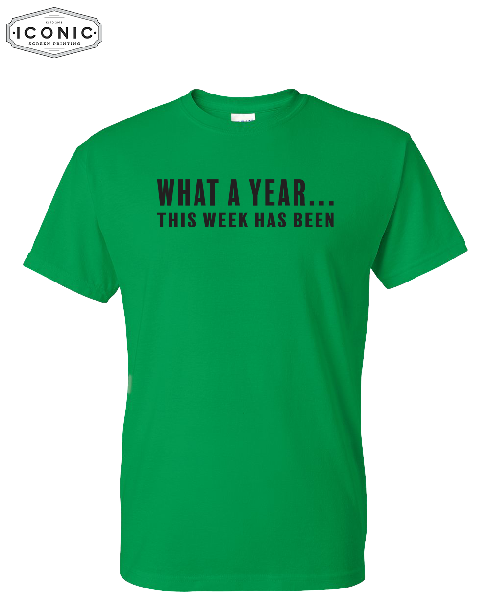 What A Year - DryBlend T-shirt